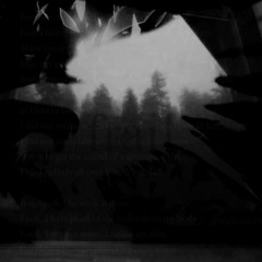 frail - hauntingclaire