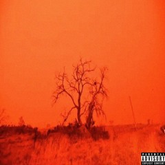 RED DAWN