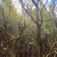 Mix On New Years Eve 2025