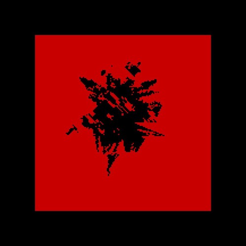 05. ain't no grave
