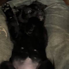 The sooner you find what’s inside