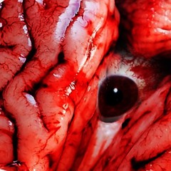 bezigr, FXWRMYCH & KmS - DISMEMBERMENT AT THE FACTXRY (SLOWED)