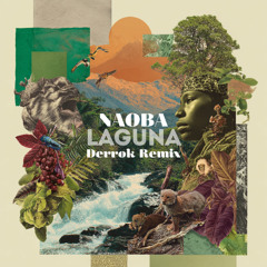 LAGUNA (Derrok Remix) Offical