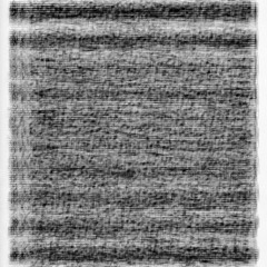 ENRACINEMENTS w/ Alexis Degrenier (27.05.25)