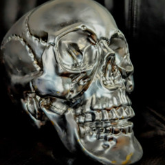 BASEMENT! IN THE ZONE