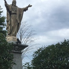 PLNT - Gummy Master (SBOO)