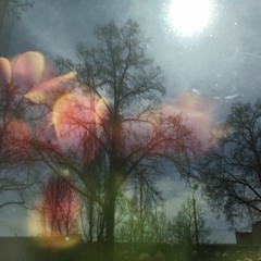 Boiling Time by Cassis B Staudt