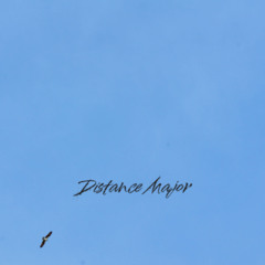 Distance Echoes