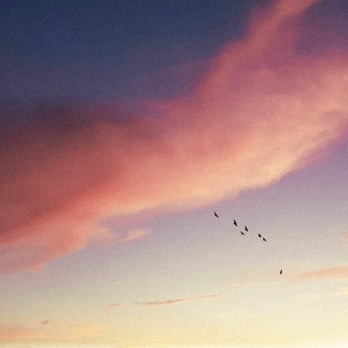 ornithology of desire (2023) for three piccolos and electronics