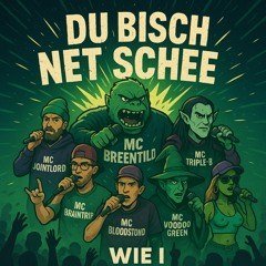 Du bisch net schee wie i .