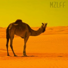 Sandy Mazellovv - i remember camel is big