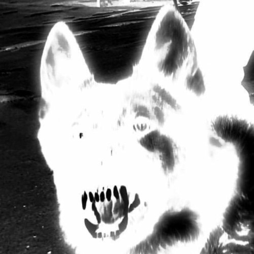 POIZN: MELT [ACID/HARD TECHNO PODCAST]