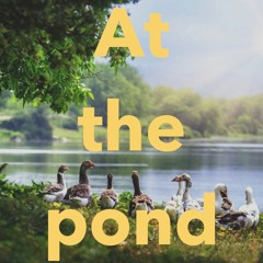 At the pond