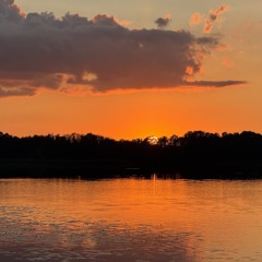 01.11.2025   November Session