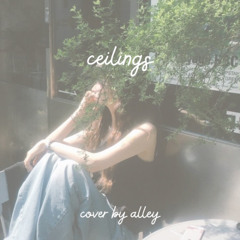 ceilings - lizzy mcalphine
