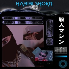 HABIBI SHOKR (PROD. CADDISH, RADWIN, PIRI)