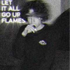 You Let It All Go Up In Flames