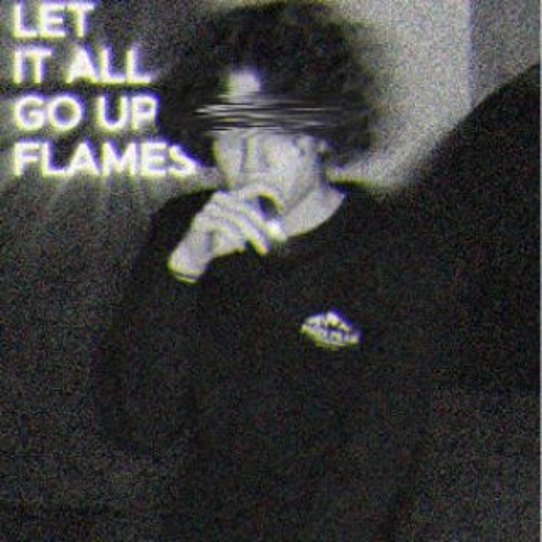 You Let It All Go Up In Flames