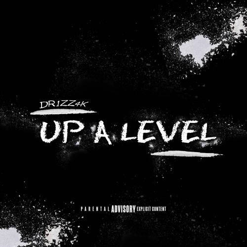 DR1ZZ4K - UP A LEVEL