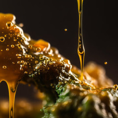 DJ INDICA CR-RUNNING FROM THE LAW