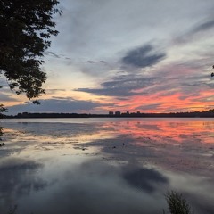 breaking fevers (2015)