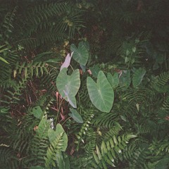 SOPHIA ZHURAVKOVA 210523