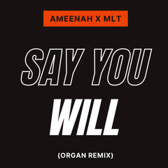 Ameenah X MLT - Say You Will (Organ Remix)