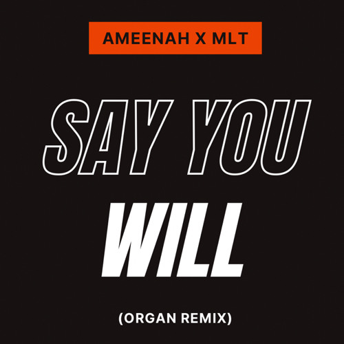 Ameenah X MLT - Say You Will