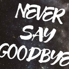 Reversal Of Fortune - Never Say Goodbye