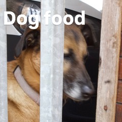 High dog food