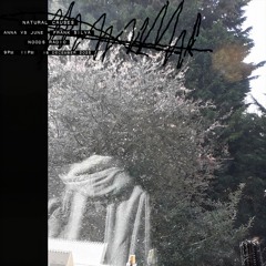 Natural Causes w/ Anna Vs June & Frank Silva: 16th December '25