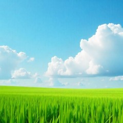 усейн prod.jjbhatred