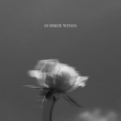 Summer Winds