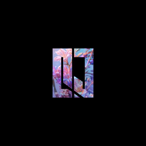Qaden James - BACK 2 BROOKS Liveset