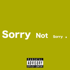 Dudadamthang - Sorry Not Sorry (Remix)