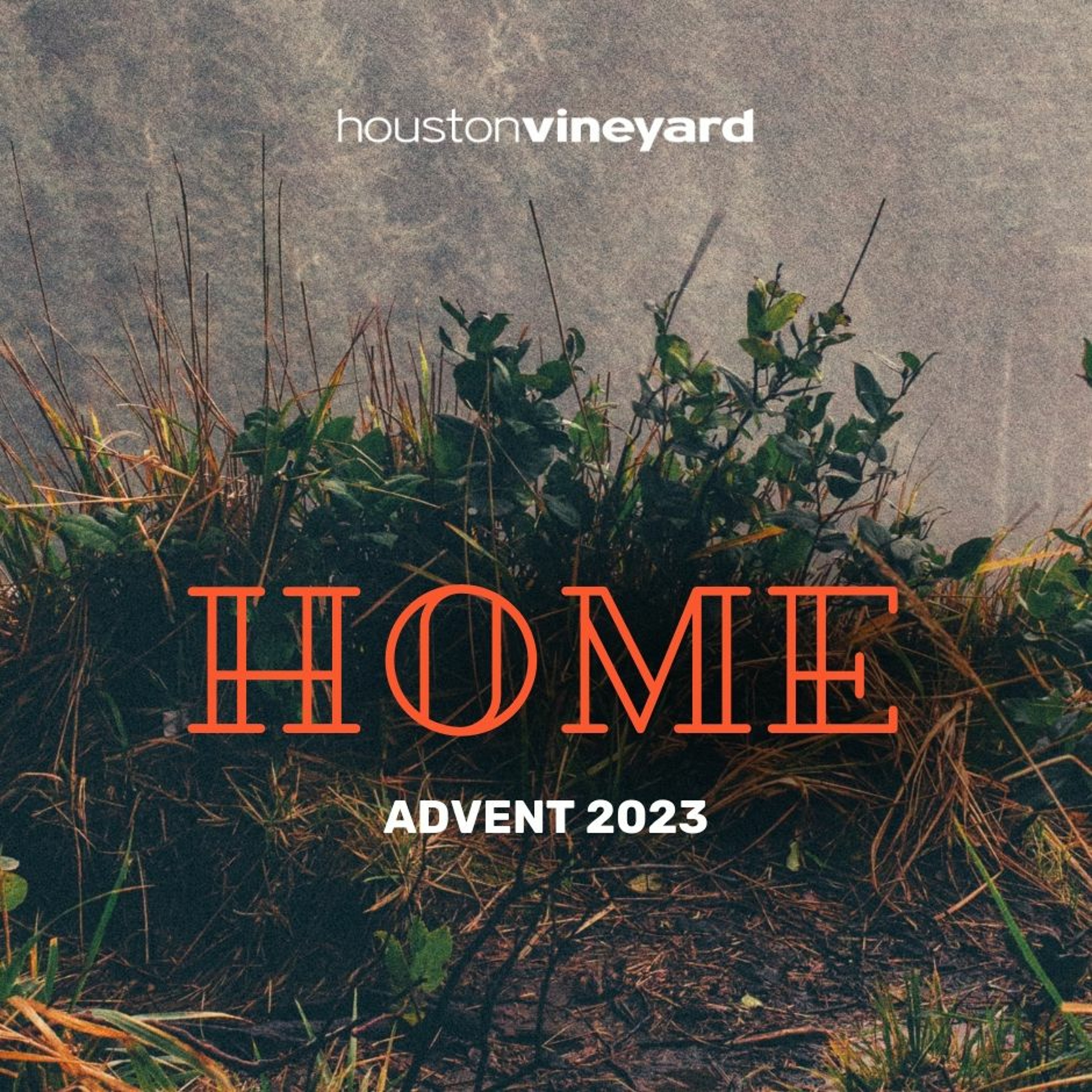 Home // Week 3 episode artwork