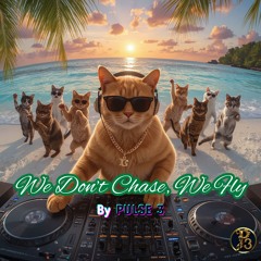 We Don't Chase We Fly