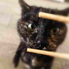 please it prod me PLZᴘʟᴢᴾᴸᶻᶻᶻ