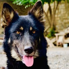 pa shaistao k badshah a ka wazir a shakman de kama ( shafi isar new song 2024) shafi attan song .mp3