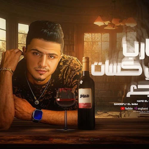 مهرجان شارب هموم في كاسات الوجع - انا شقيان وطلع عيني - حمو القماش - توزيع فيجو الدخلاوي
