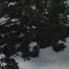 byocmal demise (mal belsha)