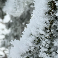 let this moment pass