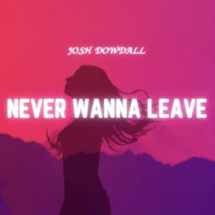 Josh Dowdall - Never Wanna Leave