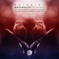 PREMIERE: Rainbird - Et Cetera (Arketech Remix) [Stone Seed]