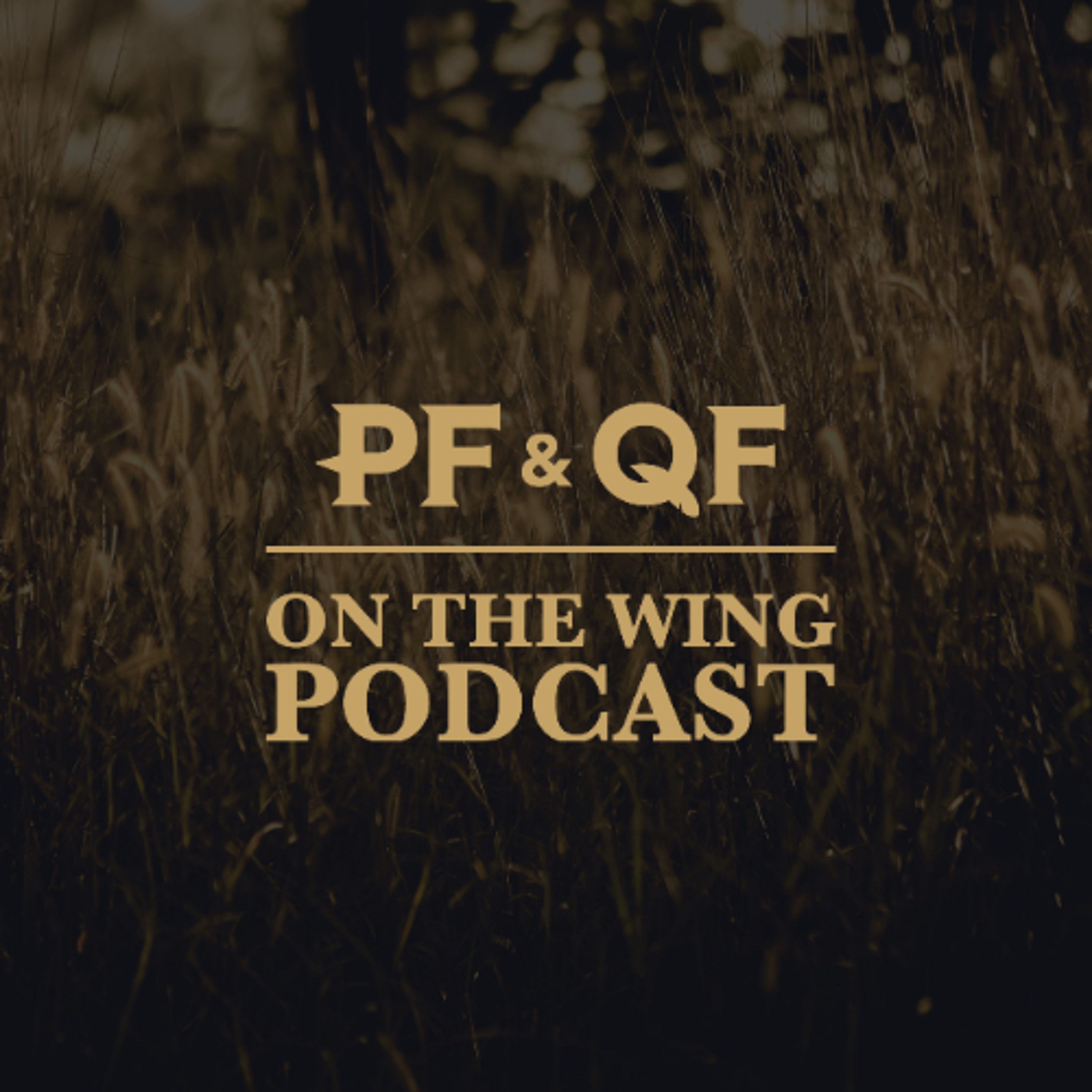 On The Wing Podcast