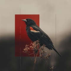 Red-winged Blackbird