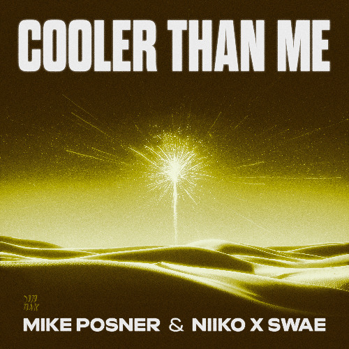 Mike Posner & NIIKO X SWAE - Cooler Than Me