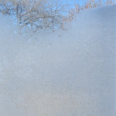Frost Covered Windows