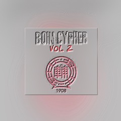 BOIN CYPHER vol. 2
