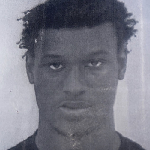 not a diss  ♻️🦅